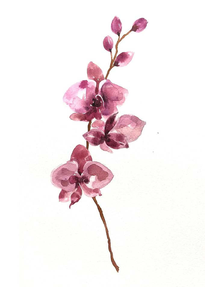 Botanical