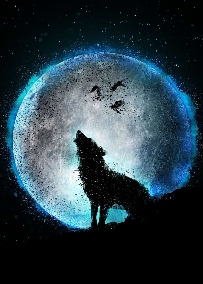 Midnight Howl