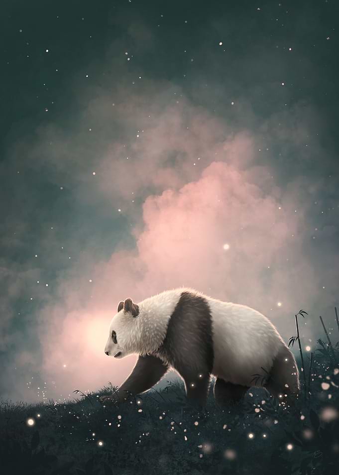 Panda Bear