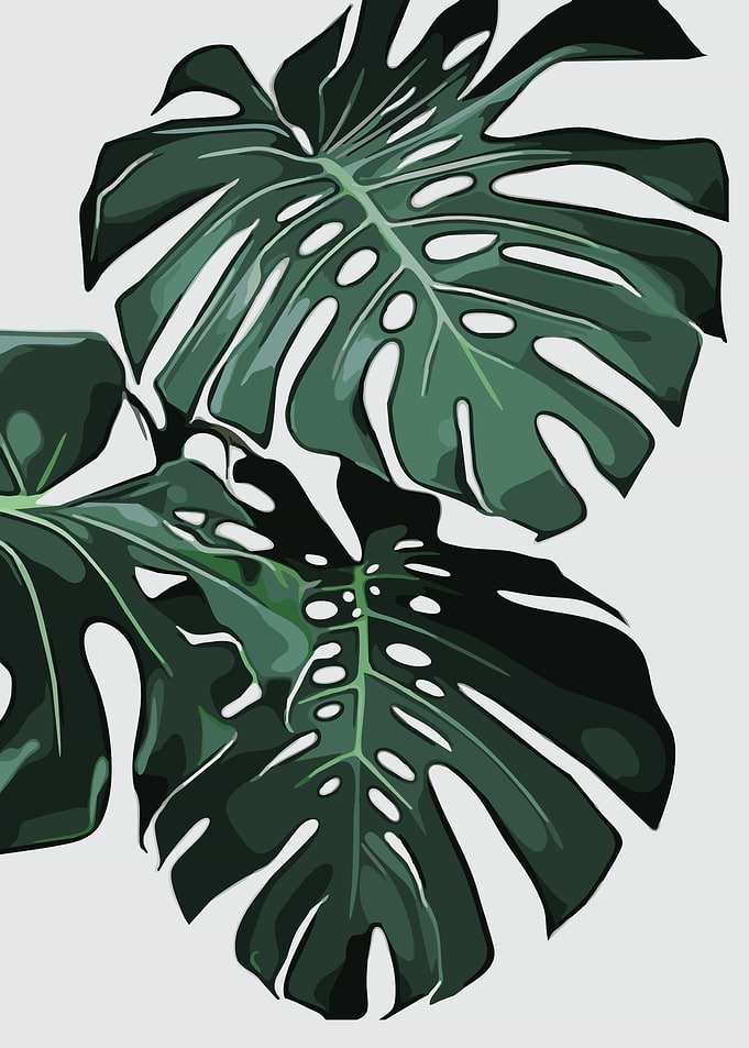 The Leaves 5