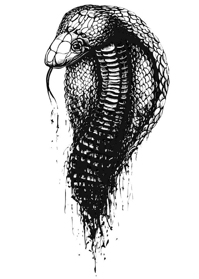 Cobra Ink Dripping