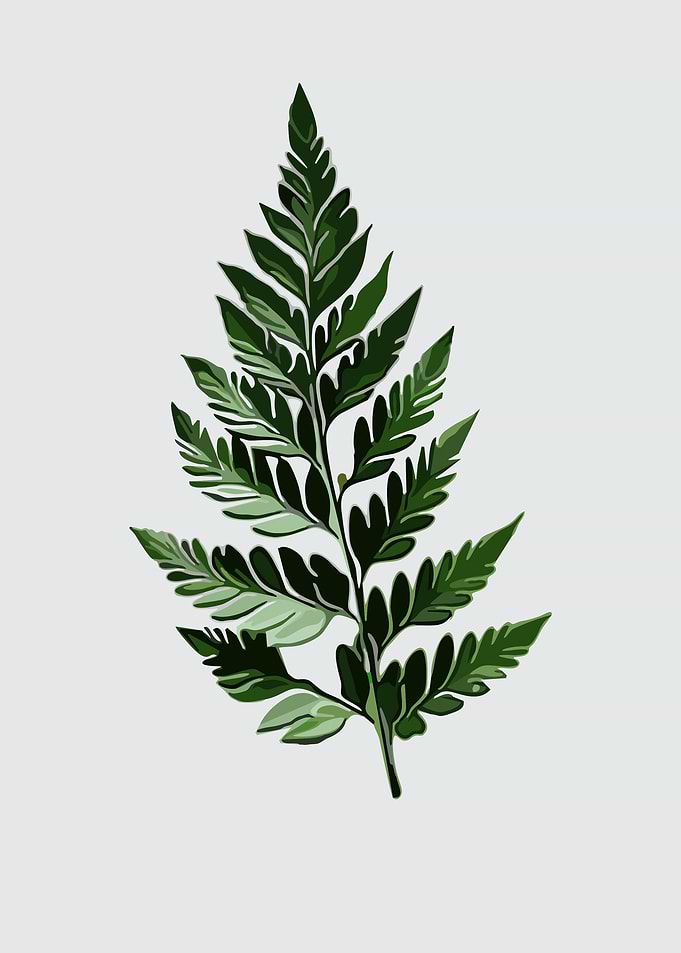 The Leaves 4