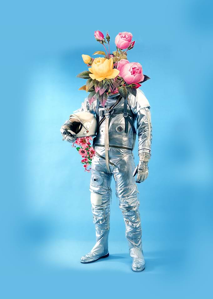 Flower Head I