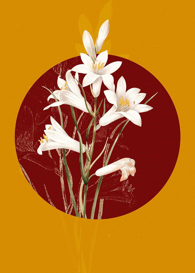 St Brunos Lily Flowers