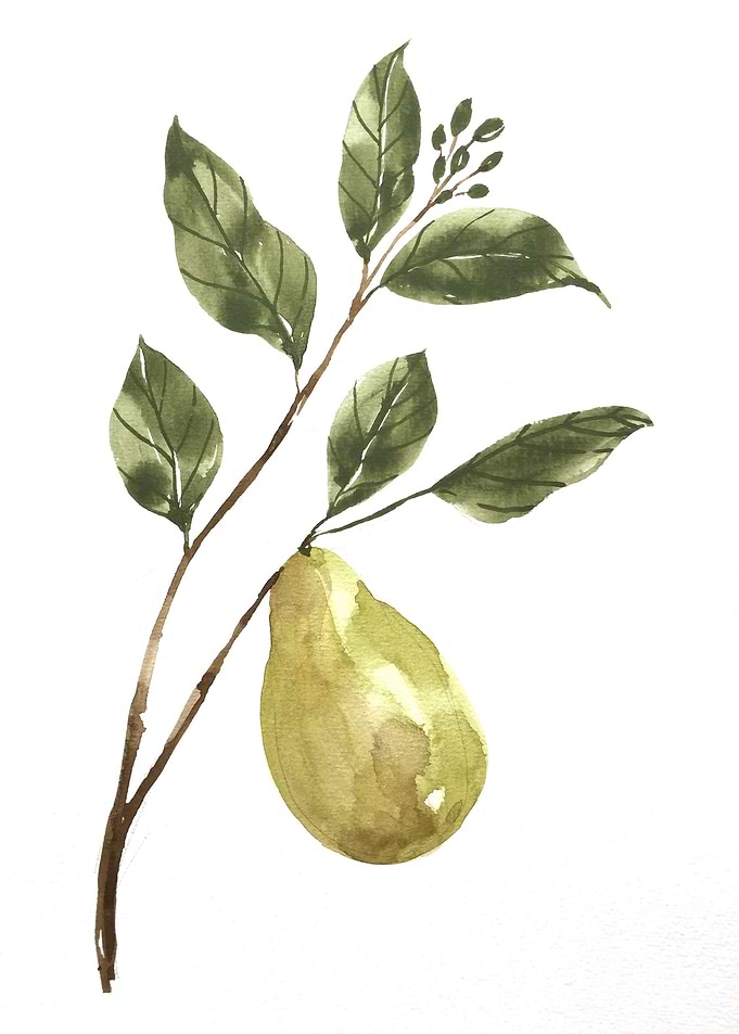 Fruit
