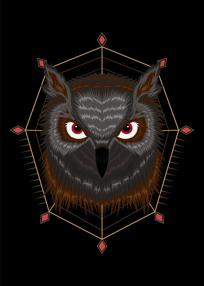 Owl vector Illustration