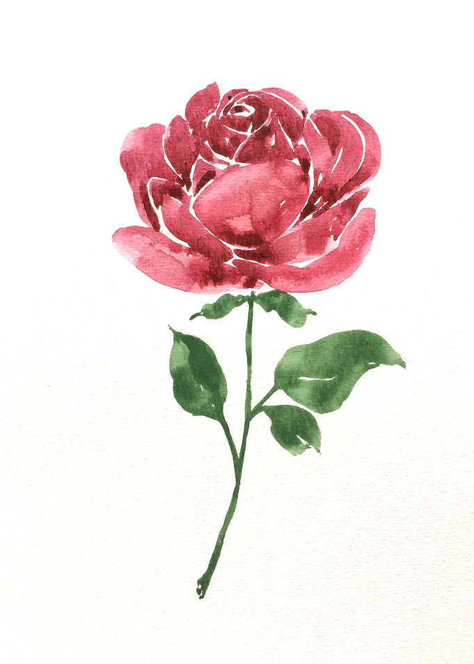 Botanical