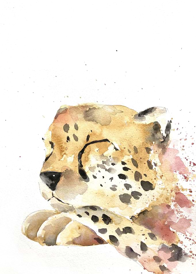 Animal