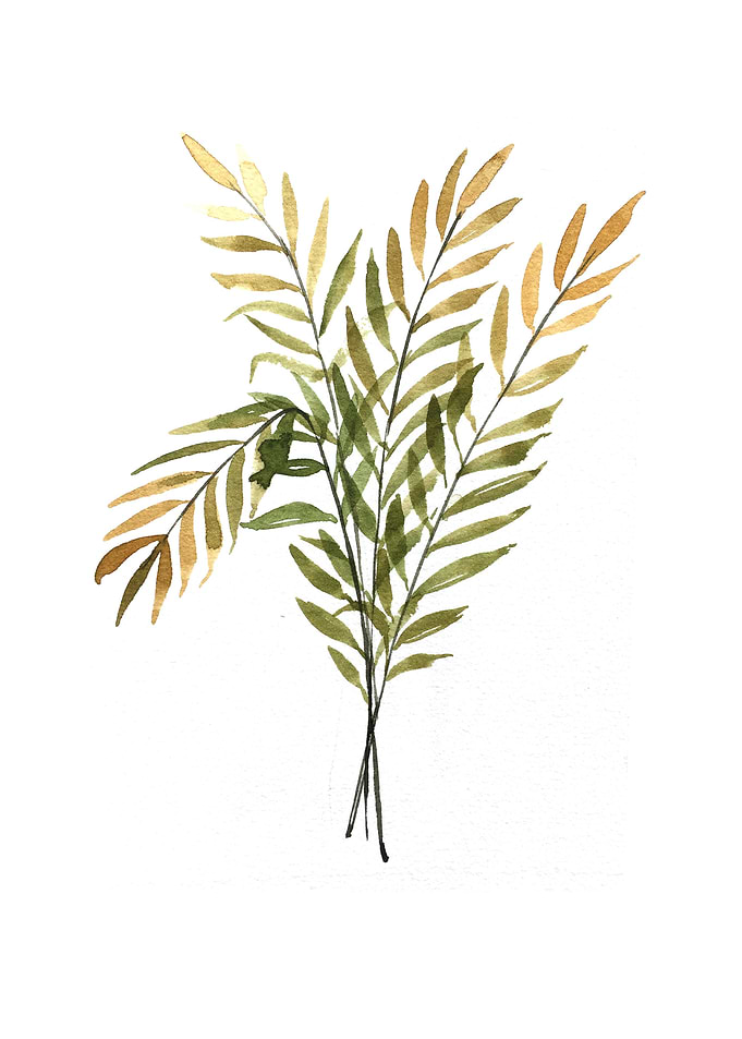 Botanical