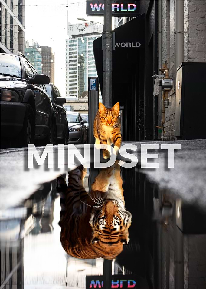 Mindset