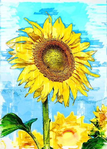 Bloomed Sunflower Abstract
