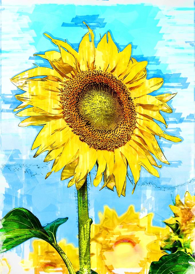 Bloomed Sunflower Abstract