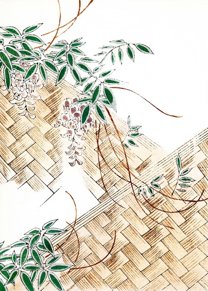Wisteria