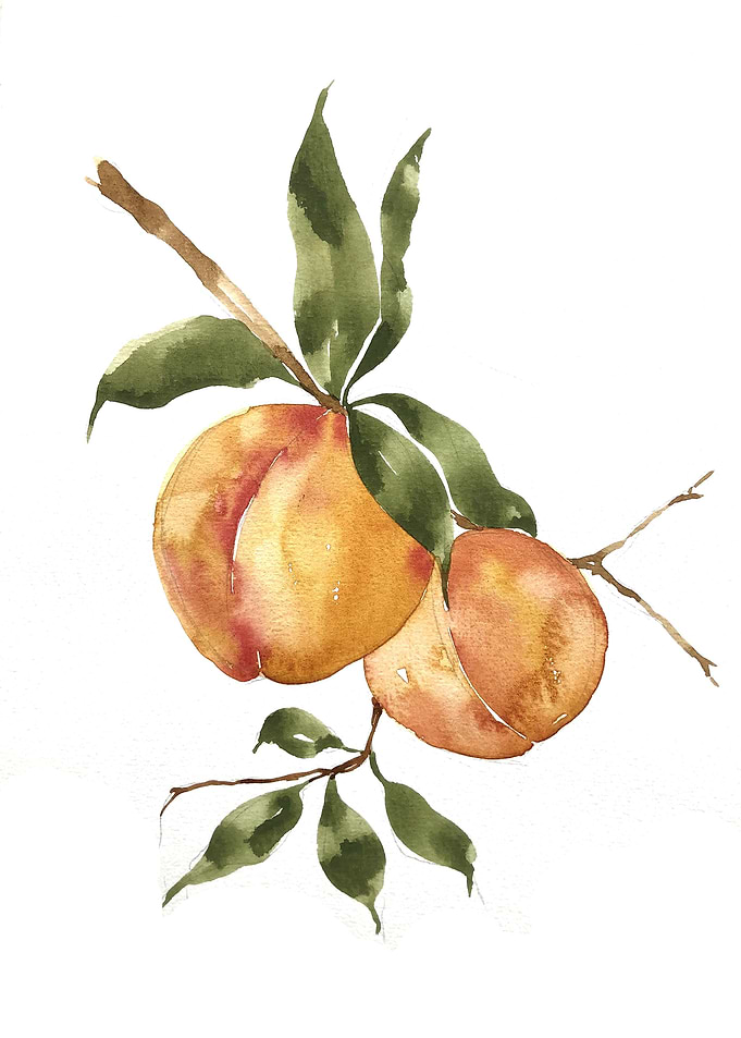 Fruit