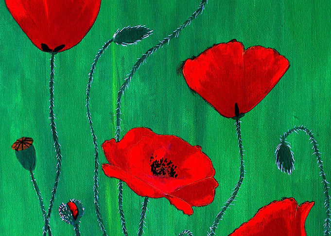Red Poppies