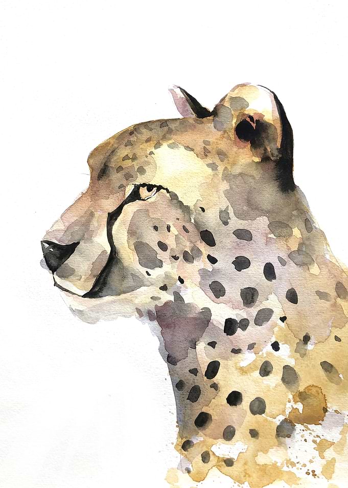 Animal
