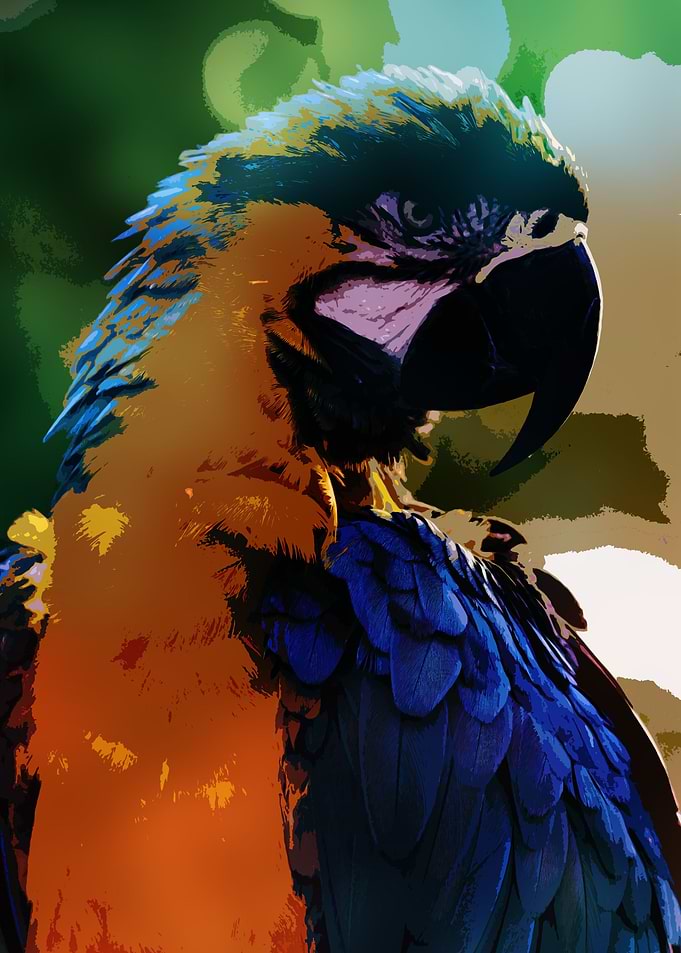 Parrot