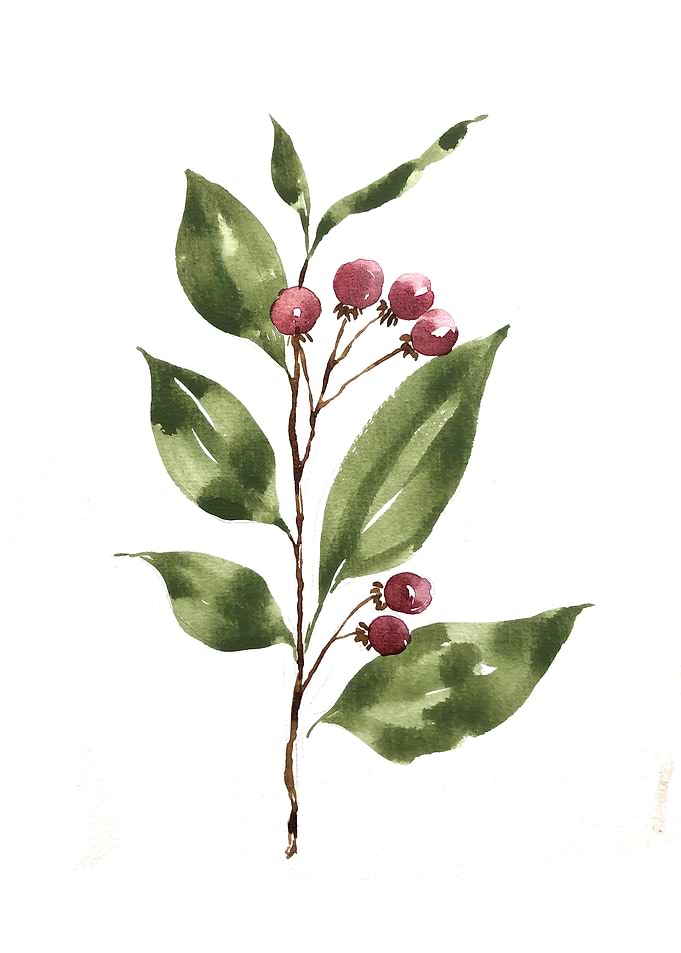 Fruit