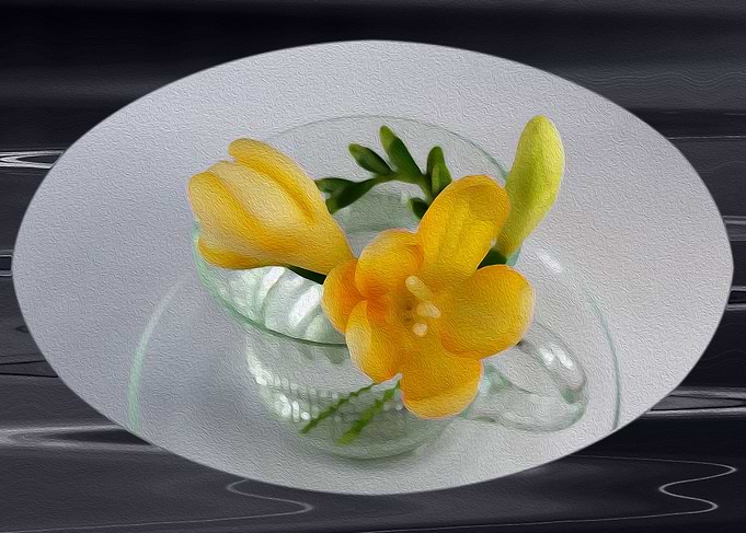 Yellow freesia buds