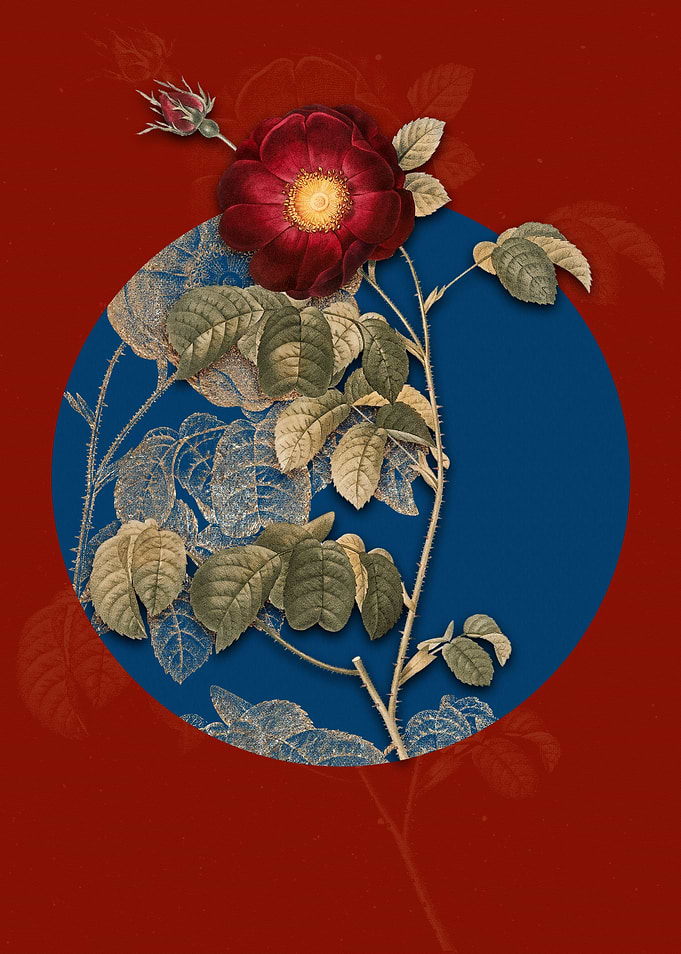 Vintage Rose