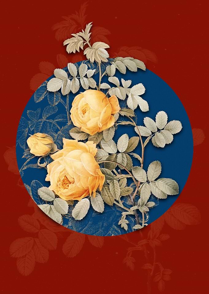 Vintage Sulphur Rose