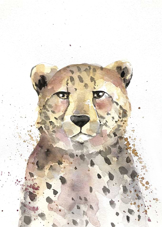 Animal