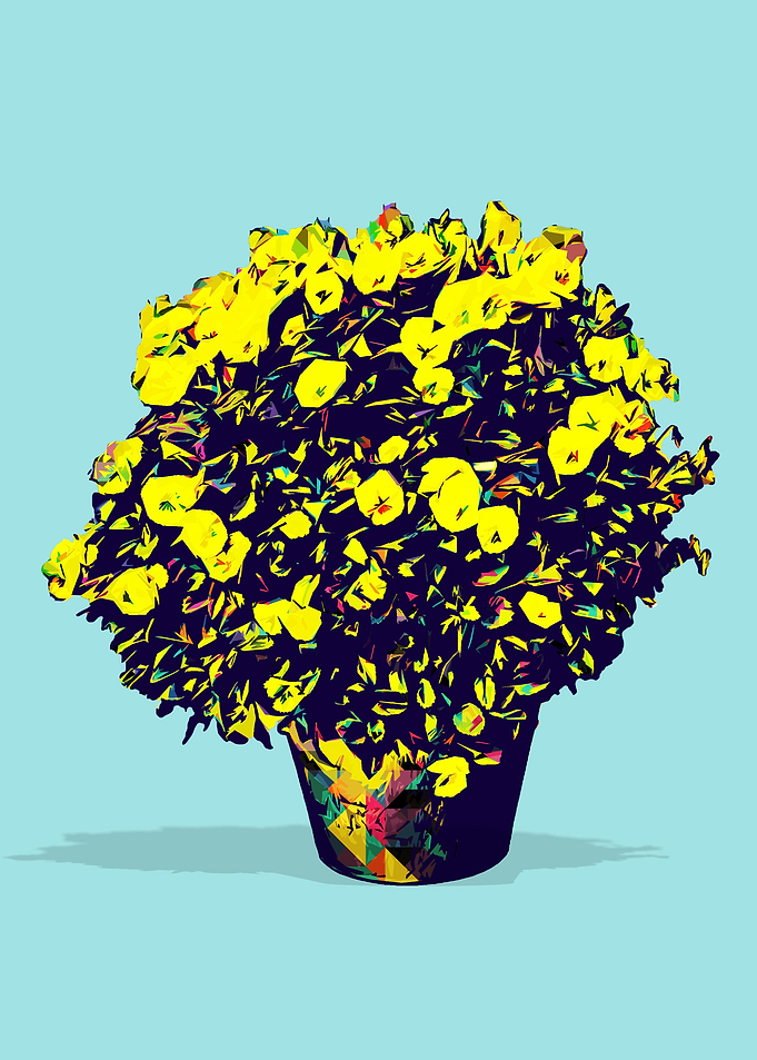 Beautiful Flowers