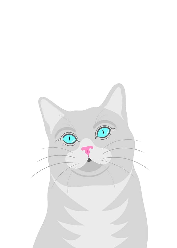 Grey Cat Portrait