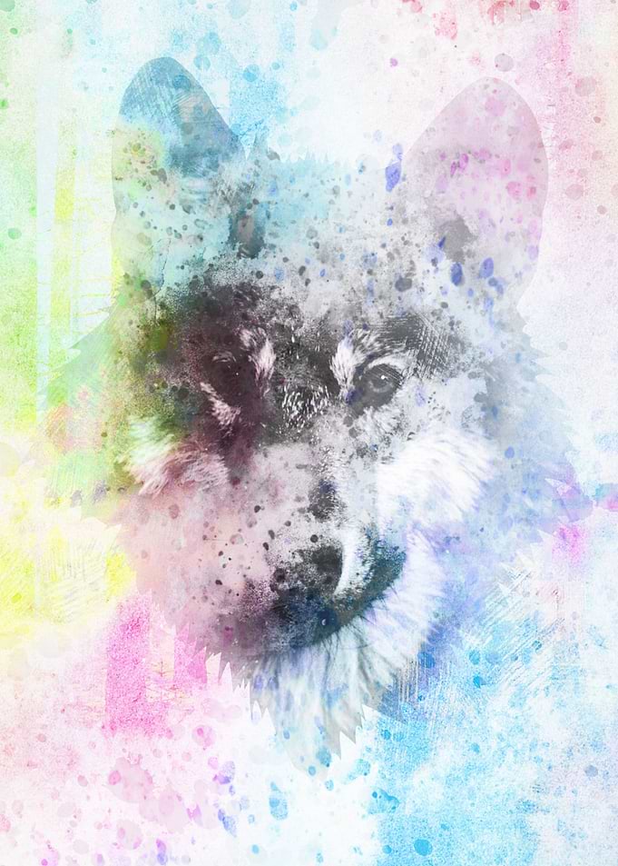 Colorful Wolf
