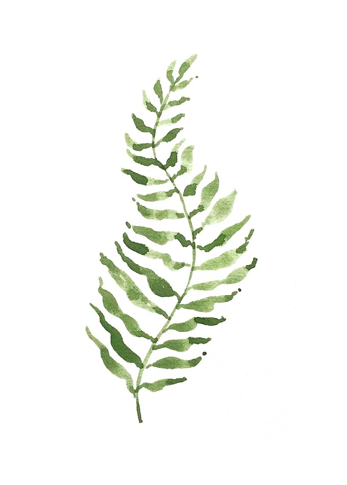 Botanical