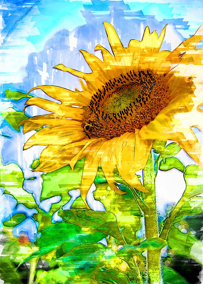 Sunflower Abstract Sketch