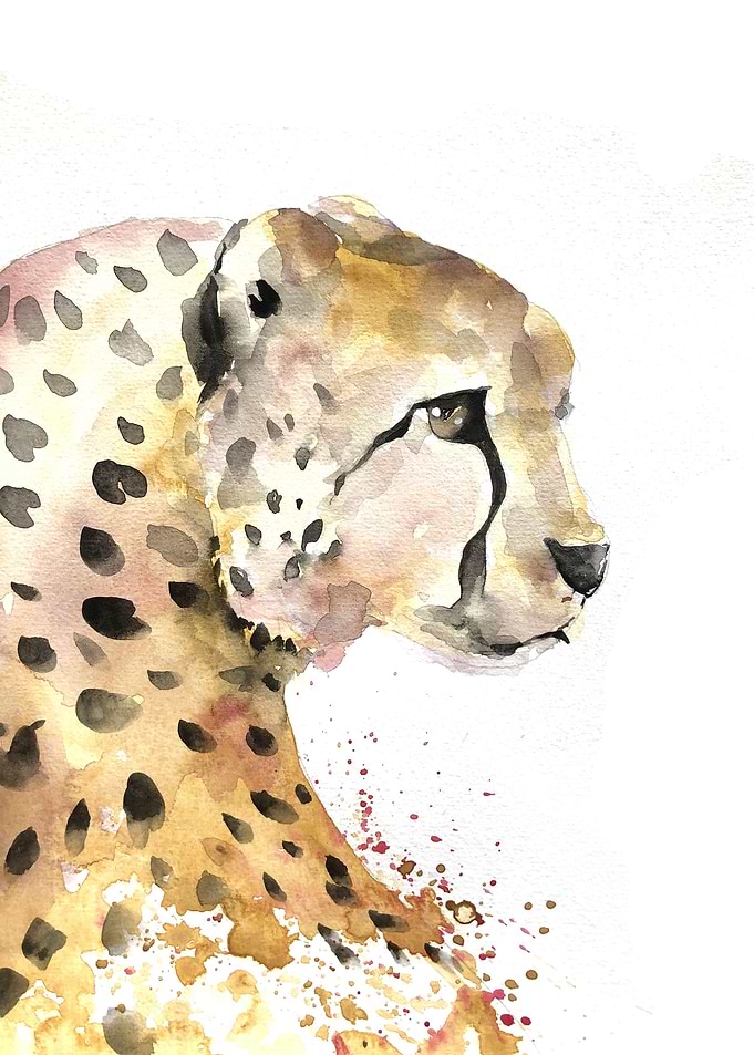 Animal