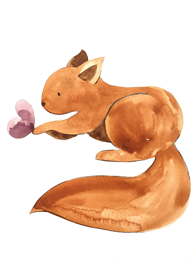 animal