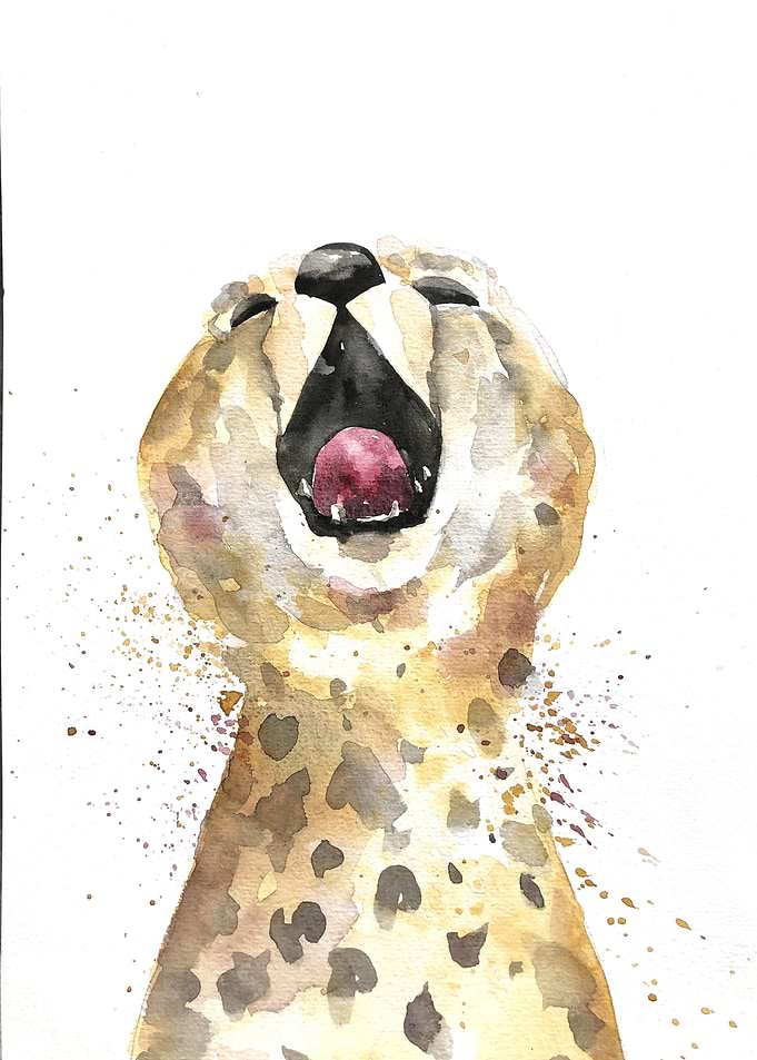 Animal