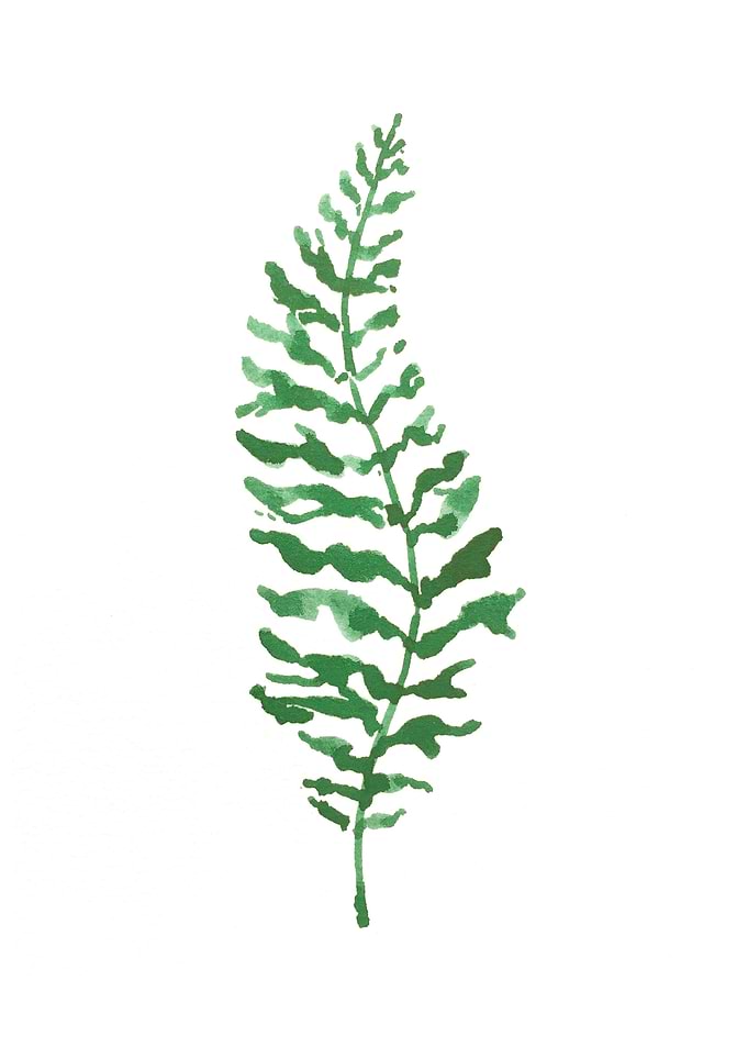 Botanical