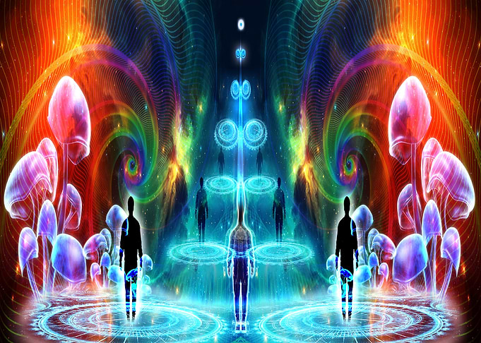 Magic mushroom elevation
