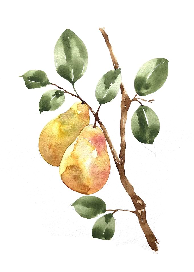 Fruit