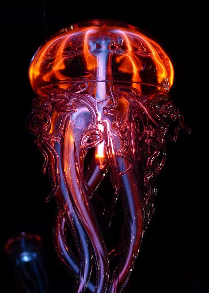big jellyfish red
