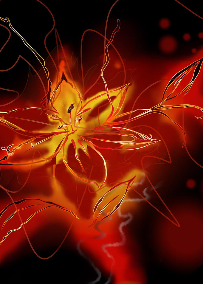 Flower