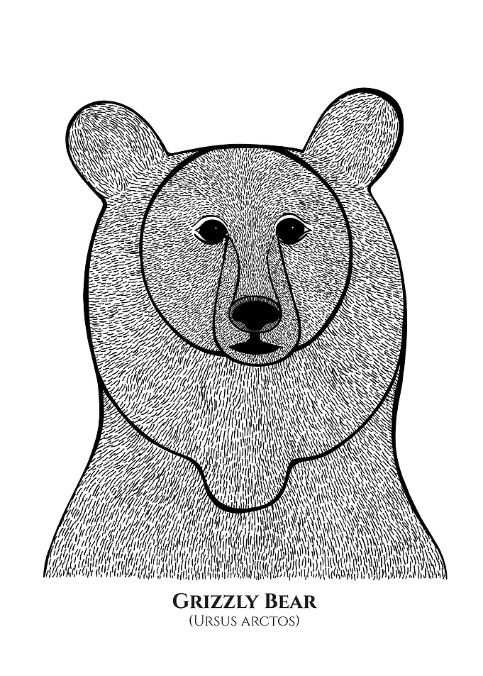 Grizzly Bear with Names