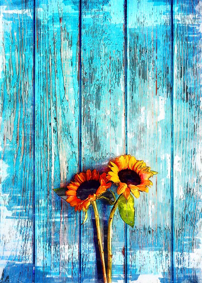 Sunflowers On Timber Deck