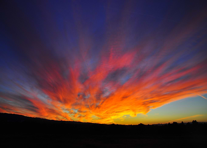 Bright Color Sunset