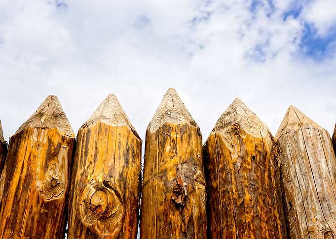 Poles Of Medieval Palisade