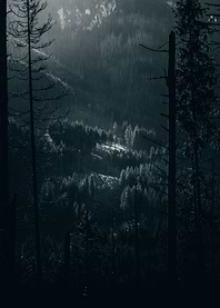Spotlight