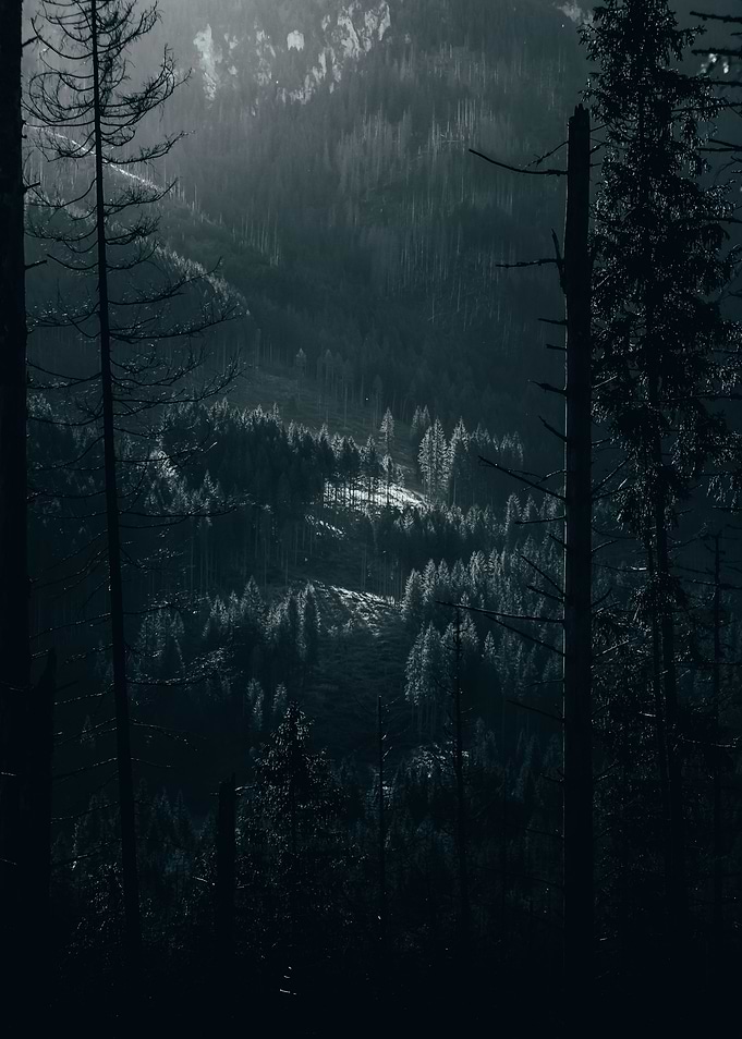 Spotlight