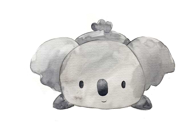 Animal