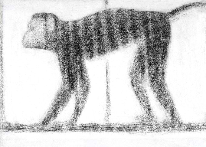 Monkey