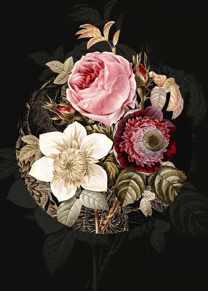Anemone Clematde Roses