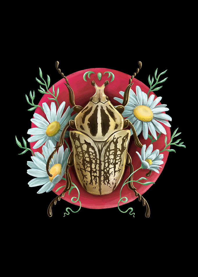 Goliat Beetle