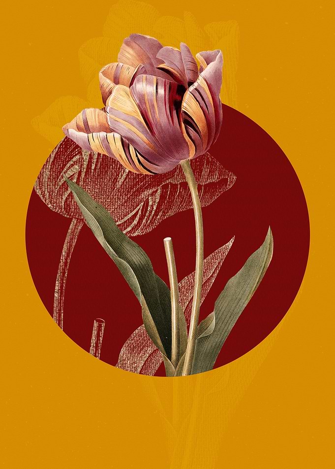 Vintage Tulip Flowers